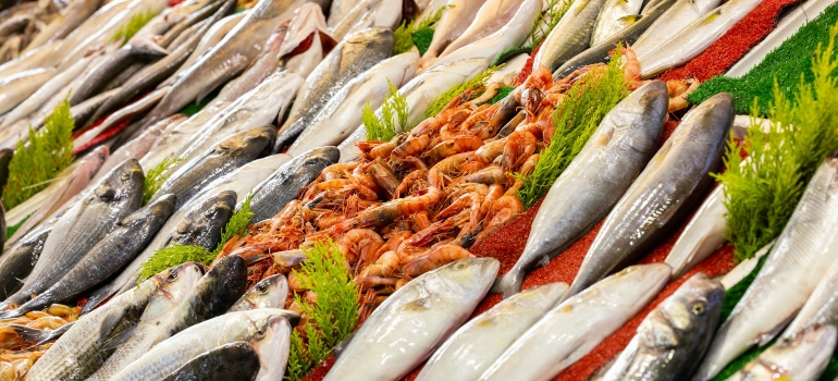 Fresh fish at a market 