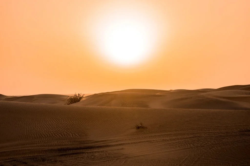 Hot sun in the desert