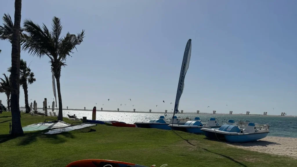 Windsurf gear laid out on the grass next to the beach in Dubai